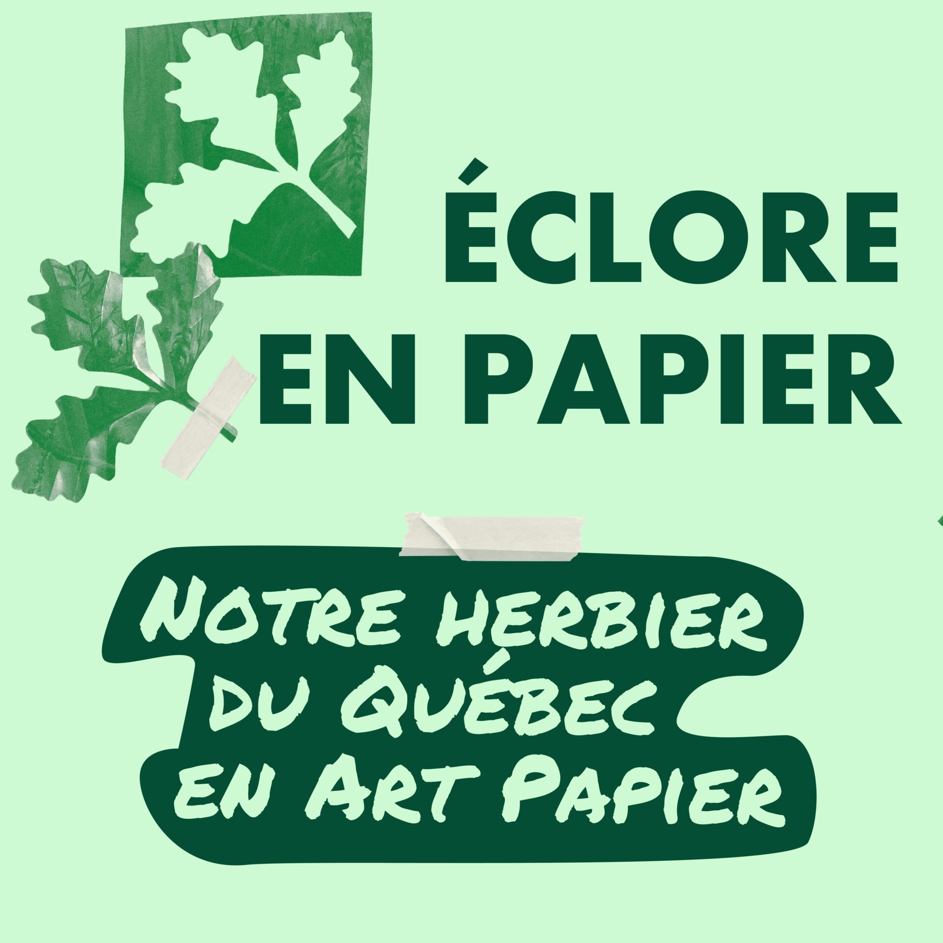 Affiche Eclore en papier